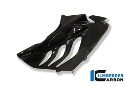 Carenatura Race Side Panel (a destra) Carbon - BMW S 1000 RR Stocksport / Racing Parts
