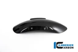 Front Mudguard Carbon (design originale) - BMW R Nine T
