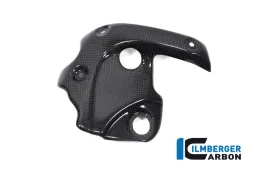 Protezione scarico sul collettore gloss Diavel 1260