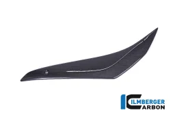 Coperchio del serbatoio inferiore sinistro Carbonio - Suzuki GSX R 1000 '17