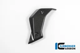 Watercooler Cover lato sinistro Carbon - BMW R 1200 R (LC) dal 2015