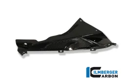 Carena laterale laterale superiore / porta badge (destra) Carbon - BMW S 1000 RR StraÃŸe (2010-2014) / HP 4