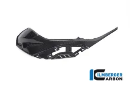 Fianchetto serbatoio sinistro con attacchi per pannello colorato OEM BMW S 1000 RR dall&#39;anno 2019