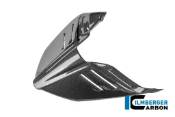 Panigale V4 monoposto in carbonio lucido 2025