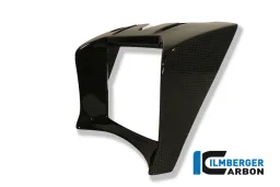 Coperchio radiatore olio Carbon - BMW R 1200 R (2011-2014)