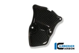 Coperchio Rotore Accensione Carbonio - BMW S 1000 R (2014-2020) / S 1000 RR (2010-2018) / HP 4 (2012-2019)