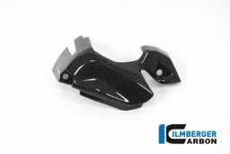 Copripignone lucido Ducati Panigale 1299 (dal 2015)