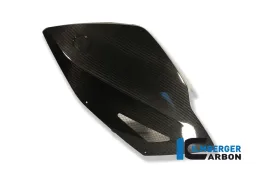 Carenatura Pannello laterale sinistro in carbonio - BMW K 1300 S