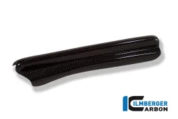 Coperchio tubo freno Carbon - BMW R 1200 GS (2004-2012) / HP 2 Megamoto (2008-2013) / HP 2 Sport / R 90T