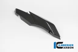 Sottosella laterale Pannelli laterali destro in carbonio - BMW R 1200 R (LC) dal 2015 / BMW R 1200 RS (LC) dal 2015