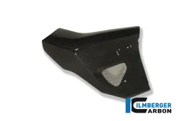Copriradiatore lato destro Carbonio - BMW F 800 R (2009-2011)