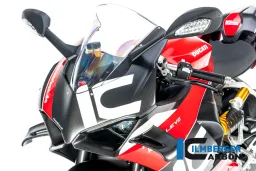Cupolino Panigale V2 opaco