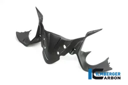 Quadro strumenti matt Carbon Ducati Panigale 1299 (dal 2015)