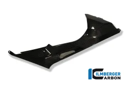 Pannello laterale serbatoio (a destra) Carbonio - BMW S 1000 RR Racing