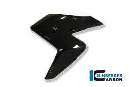 Coperchio radiatore (a sinistra) Carbonio - Honda CB 1000 R