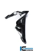 Copertura per Watercooler lato destro in carbonio - BMW S 1000 R MY del 2014