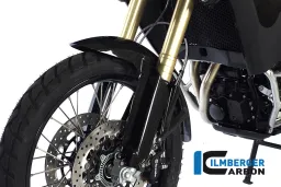 Parafango anteriore Carbon - BMW F 800 GS (2013-ora) / F 800 GS Adventure (2013-ora)