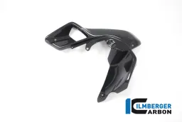 Airtube sinistra (Coperchio superiore Watercooler) Carbon - BMW R 1200 GS (LC dal 2013)