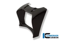 Coperchio radiatore olio Carbon -BWM R 1200 R