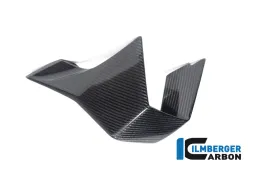 Aletta lato sinistro BMW M 1000 RR MY dal 2023