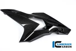Carenatura laterale lato sinistro Carbonio carbonio - BMW S 1000 R