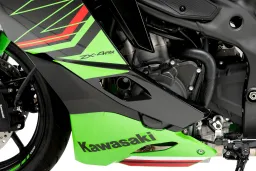 Protezione Motore Track per Championship