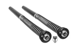 Kit cartucce BLACK-T Stage4 per BMW RnineT (2014-2020)