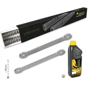 Tieferlegung um 30mm Triumph Tiger 800 2011-2014 Austauschfeder und Umlenkhebel